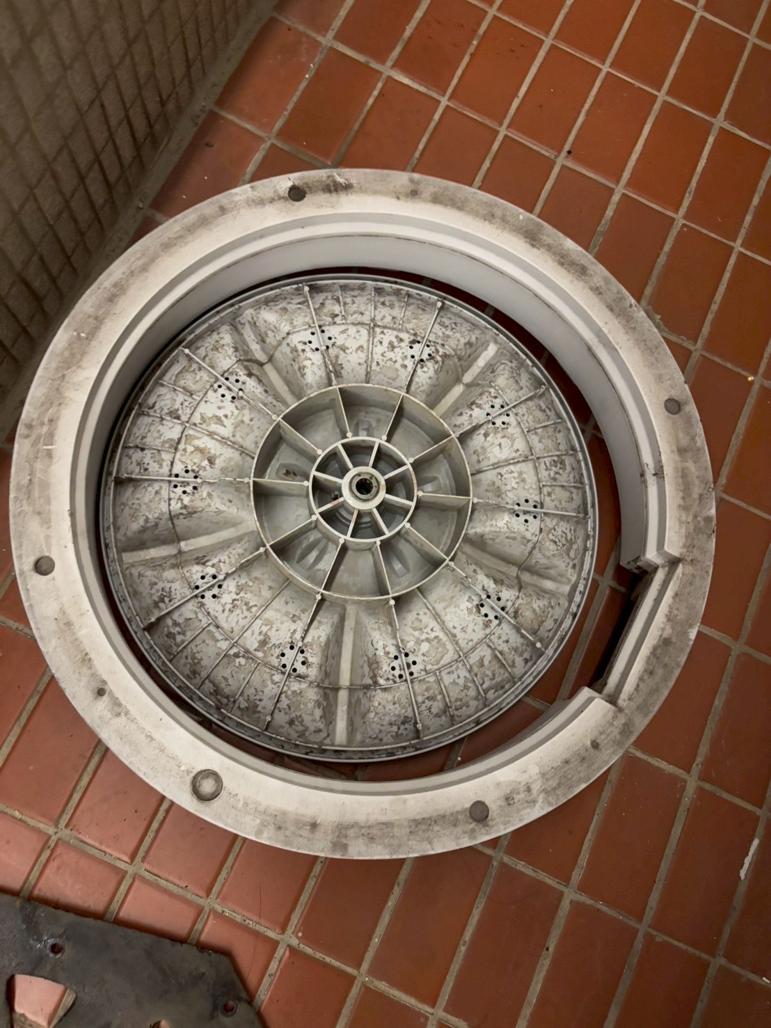 台中西屯區直立式洗衣機清洗一台